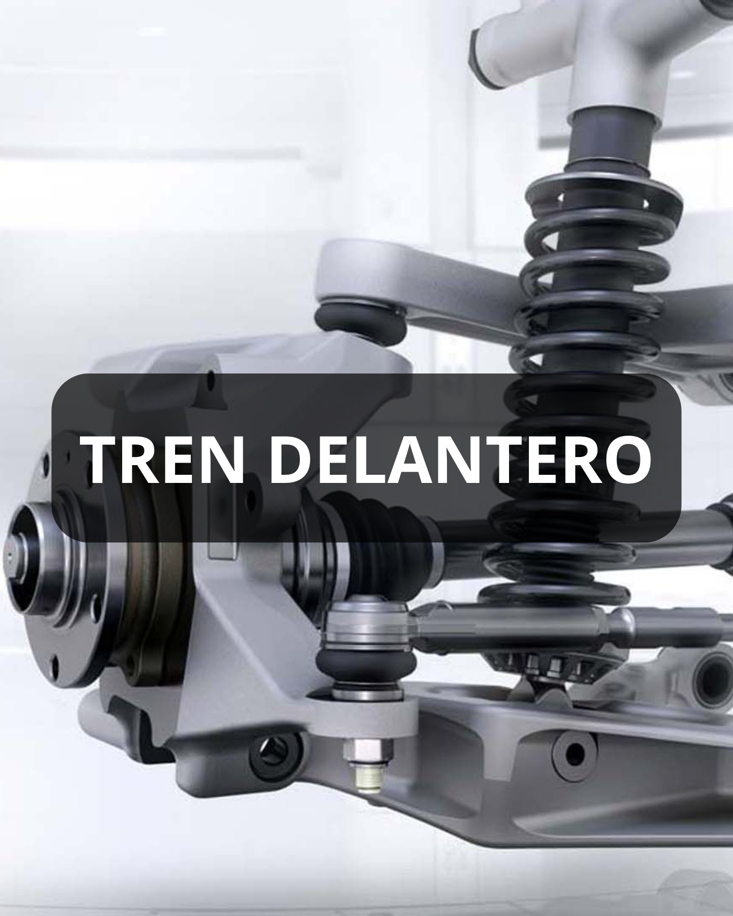 TREN DELANTERO