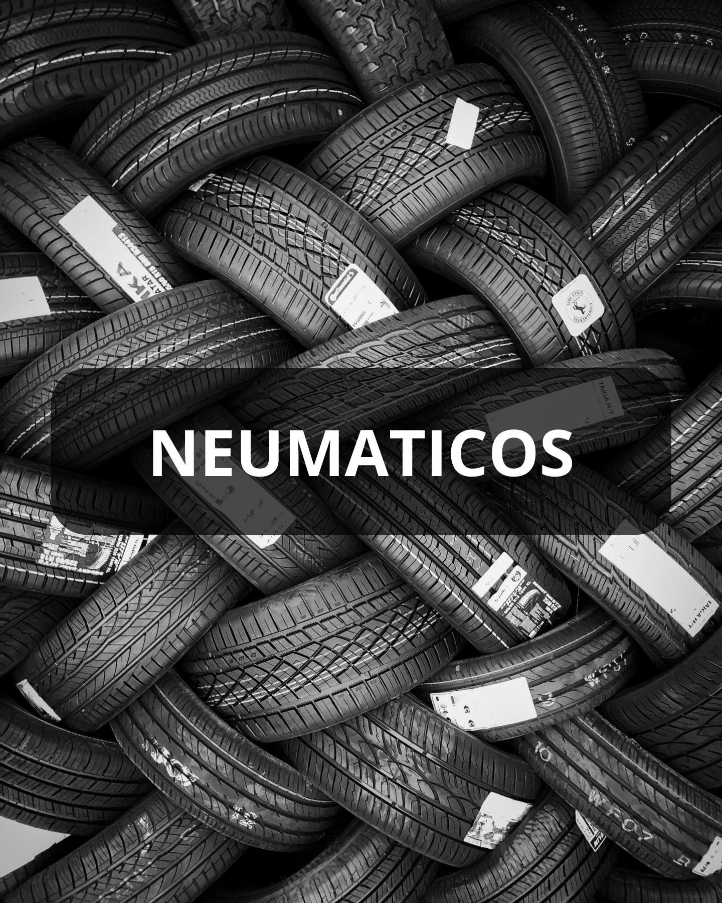 NEUMATICOS