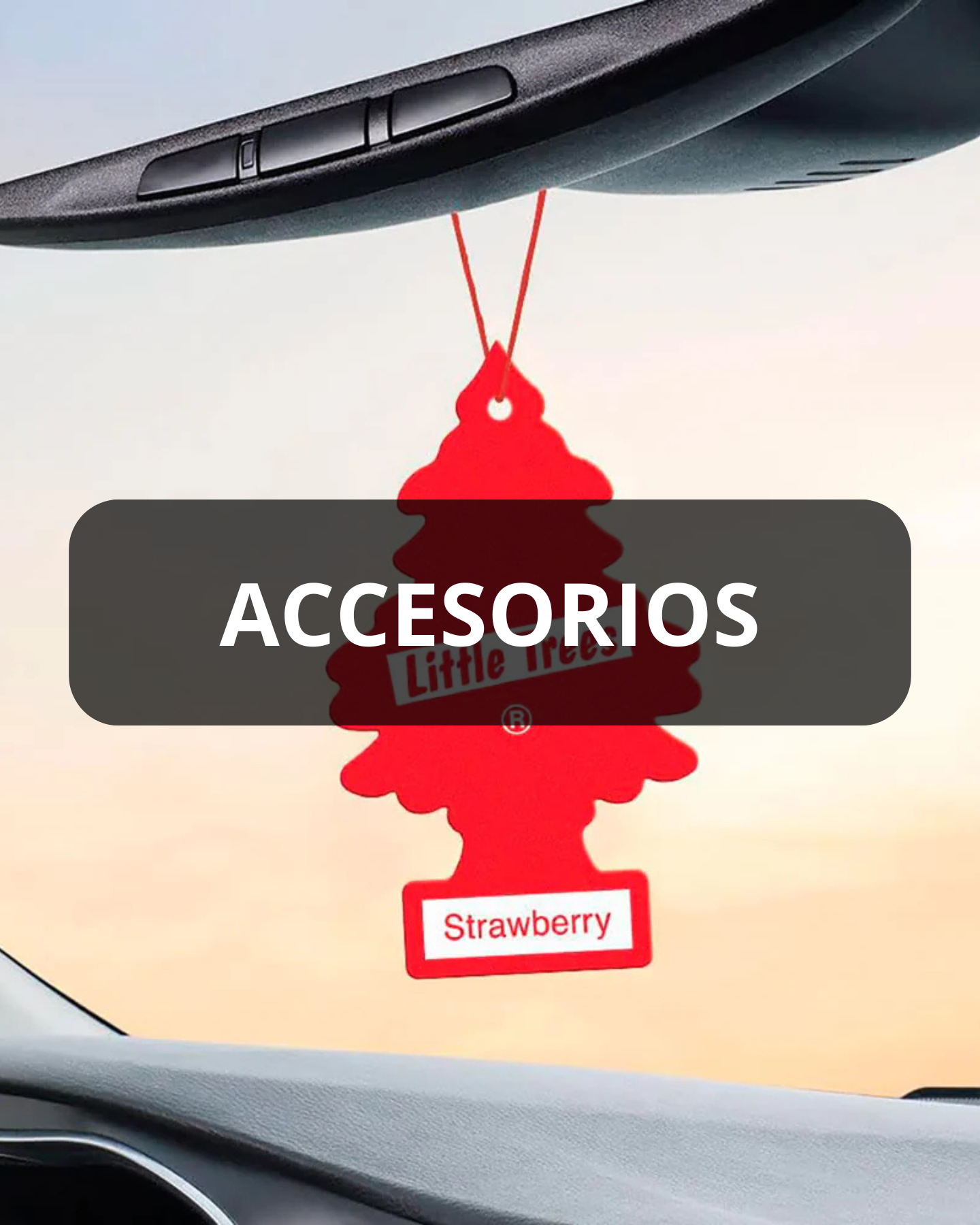 ACCESORIOS