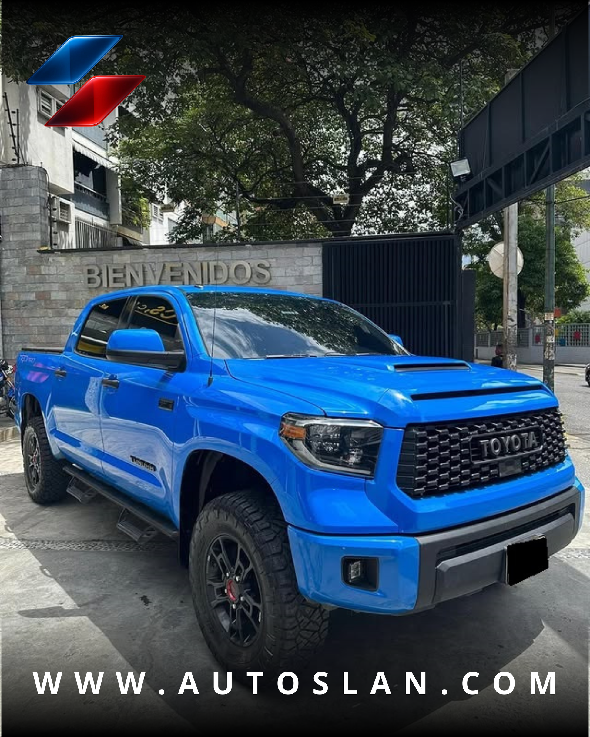 TOYOTA TUNDRA TRD PRO 2019