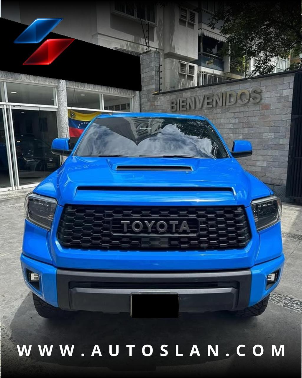 TOYOTA TUNDRA TRD PRO 2019